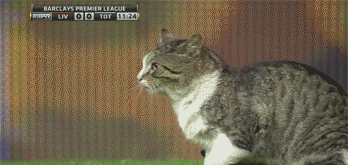 germany soccer GIF